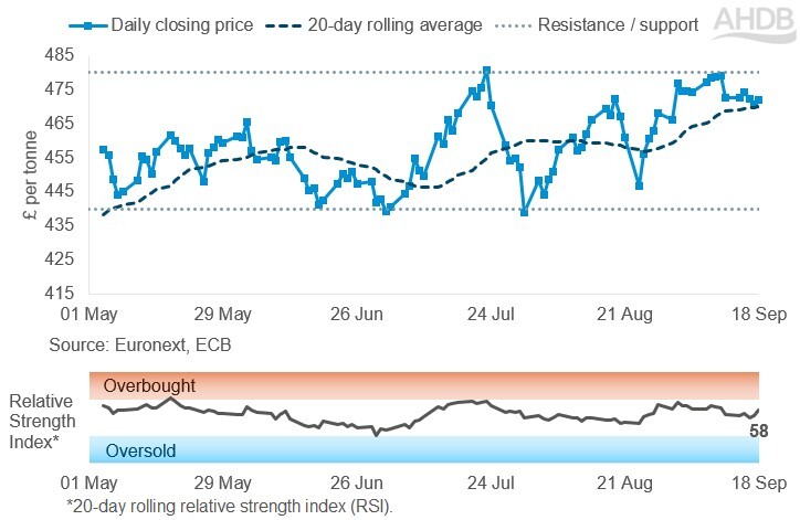 Line graph of Paris rapeseed futures Nov-26 contract prices in £/t over the past six months.